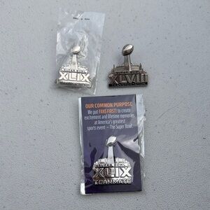 Super Bowl XLIX Teammate Lapel Pins - Silver